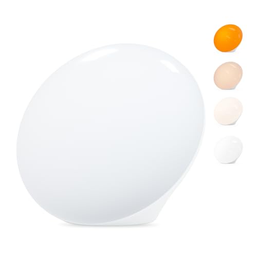 Read more about the article 10 Best Light Therapy Lamps for Seasonal Depression (2025) We’ve Tasted